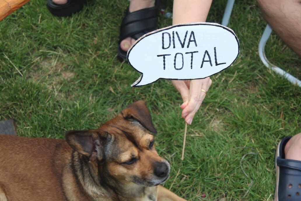 Imagen41